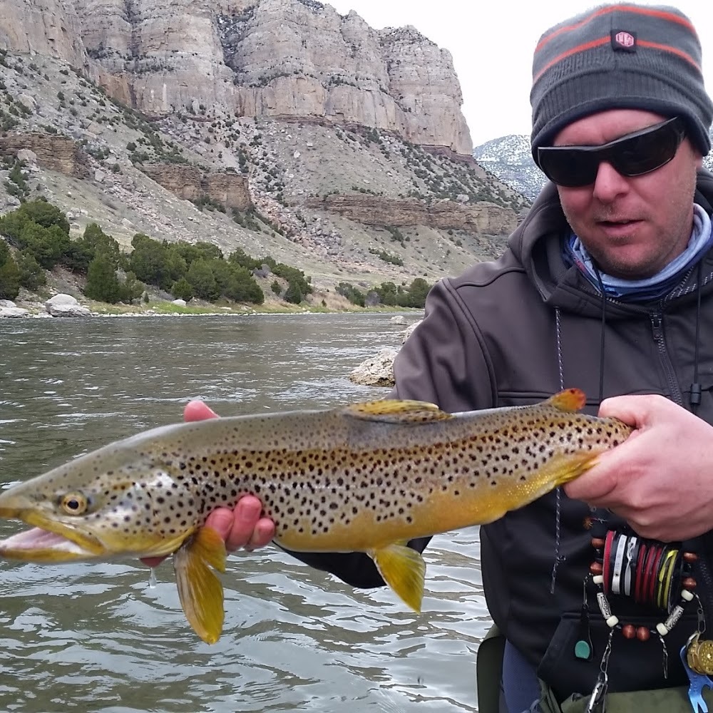 Meet your Posher, Edward